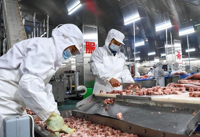 “人造假牛肉”在市场泛滥制作方式令人作呕如何挑选好牛肉？(图22)