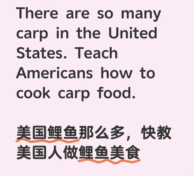 外国网友交中餐作业包饺子、糖醋鸡肉有人提议教美国人做鲤鱼(图4)